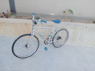 Bh antigua Running bull