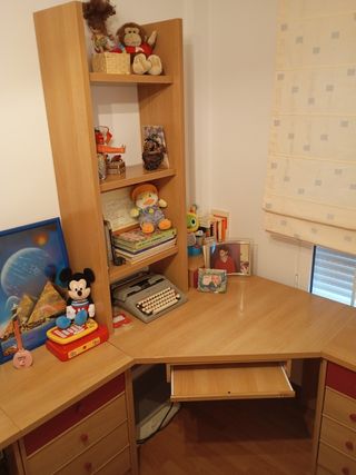 Escritorio con almacenaje y estantería