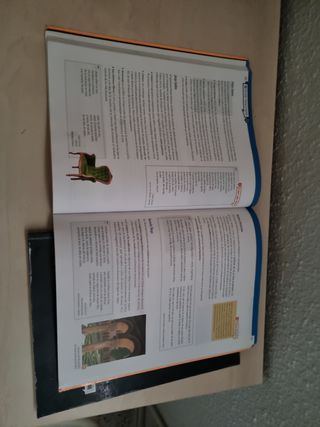 Lengua castellana y literatura 4º ESO LA Som Link