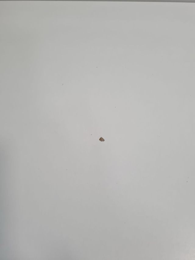 Manicure alto da tavolo