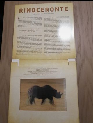 Safari. Un libro illustrato in Photicular®