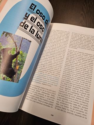 Aventuras de Frank de la Jungla