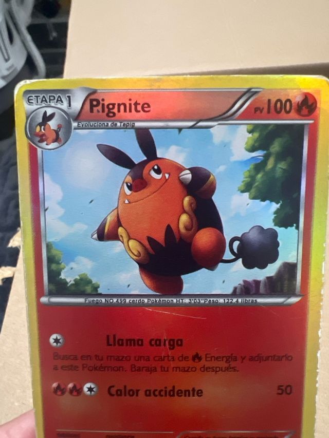 CARTA POKEMON PIGNITE HOLO