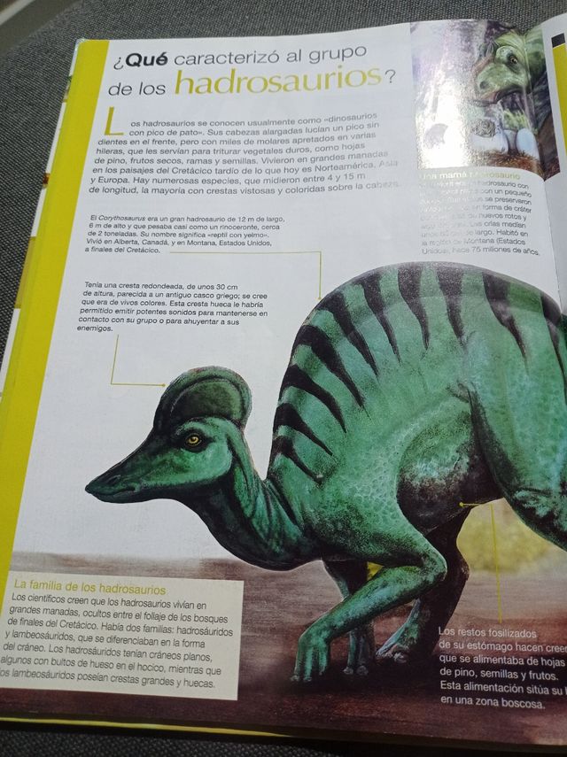 El abecé visual de los dinosaurios y otros animales prehistóricos (Colección Abecé Visual) (Abece Visual) (Spanish Edition)
