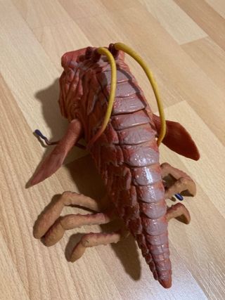 OPEE SEA KILLER STAR WARS