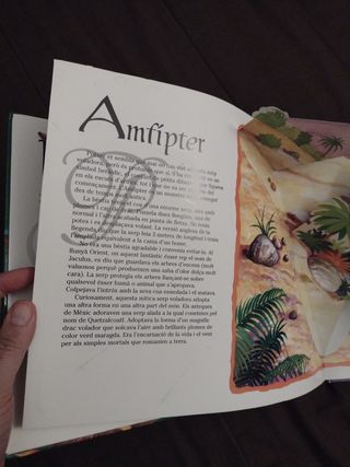 Libros para niños: Dragones dinosaurios.