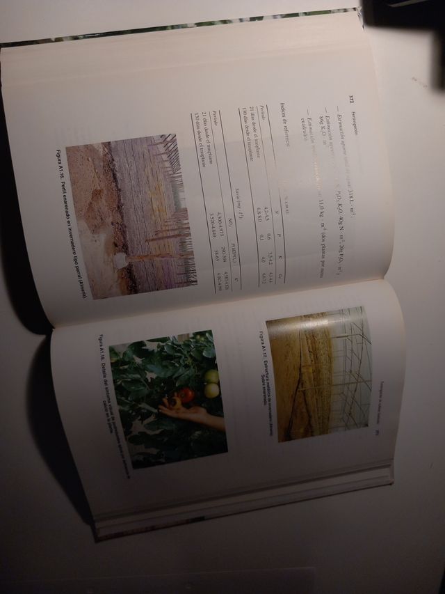 Fertirrigación cultivos horticolas