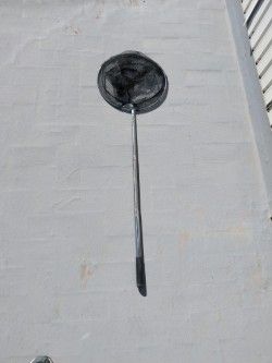 RED PARA PESCAR TELESCOPICA