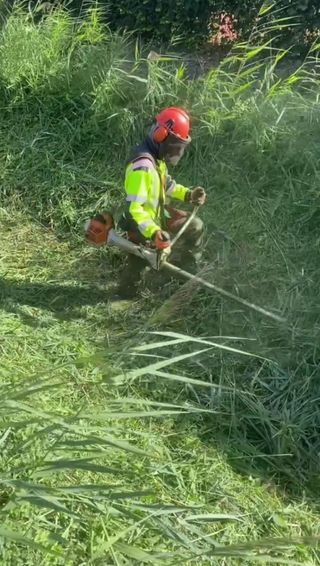 Jardinero económico 