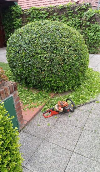 Jardinero económico