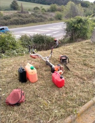 Limpieza de parcelas poda de árboles