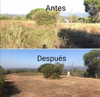 Arreglos de jardines