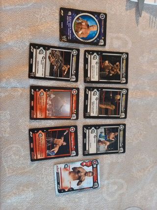 8 carte wwe 2004