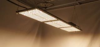 Lámparas y sistemas de cultivo vertical indoor