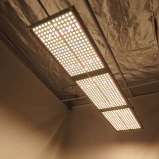 Lámparas y sistemas de cultivo vertical indoor