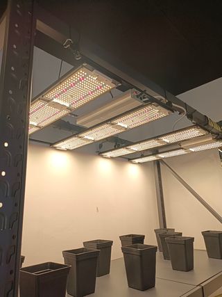 Lámparas y sistemas de cultivo vertical indoor