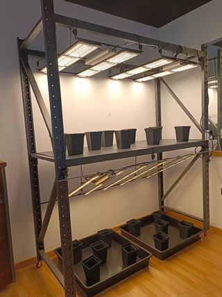 Lámparas y sistemas de cultivo vertical indoor