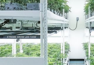 Lámparas y sistemas de cultivo vertical indoor