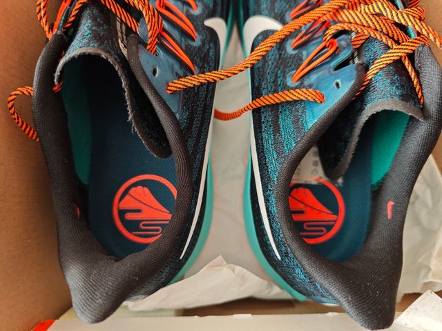 Nike Pegasus 36 HKNE