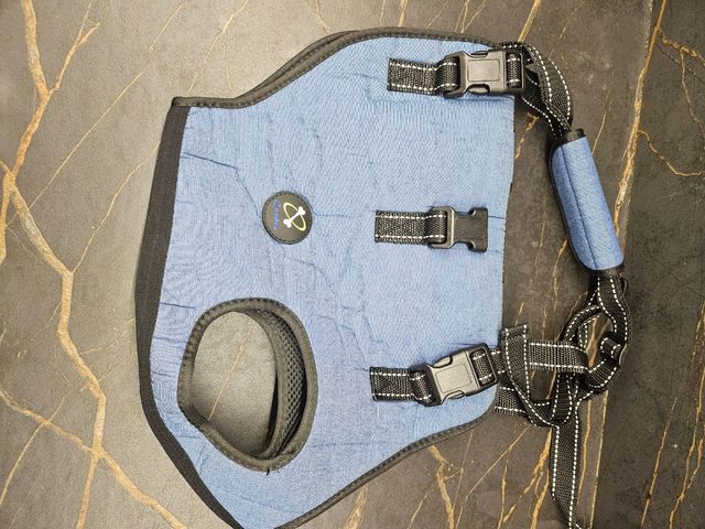 Arnés elevación perros . Rehabilitación