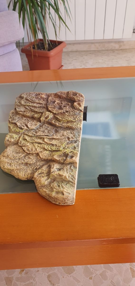 Set para acuario de tortugas