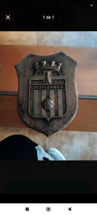 Metopa F.C Cartagena