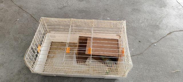 Jaula conejos y cobayas