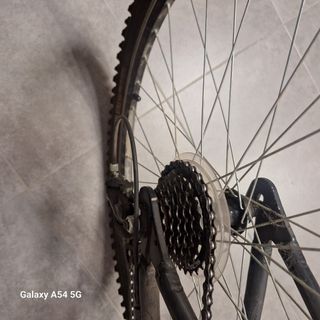Bicicletas 