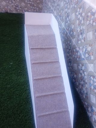 Rampa para perros