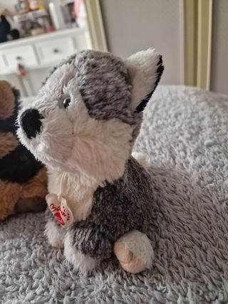 Set peluche cagnolini Trudi