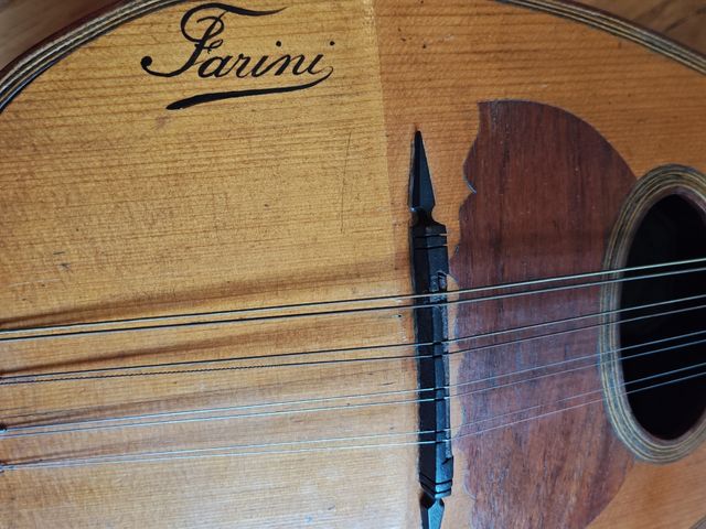 Mandolina napolitana Farini 1909