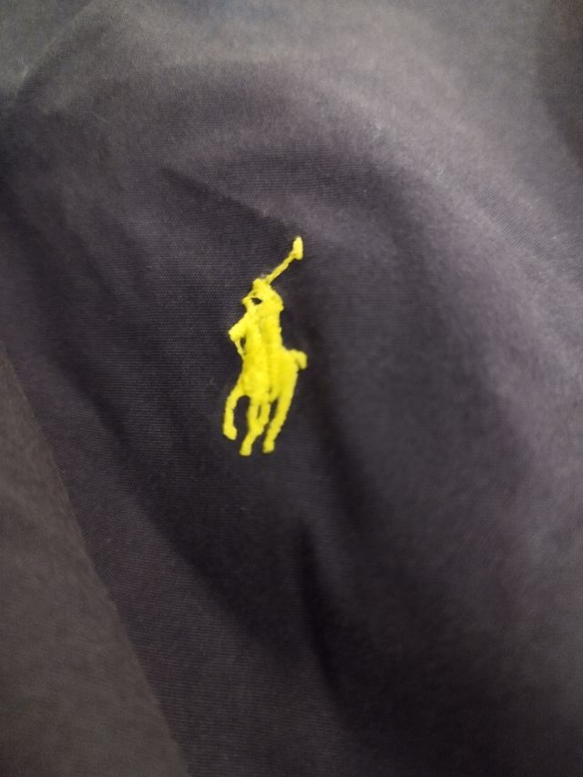 camicia blu marca polo