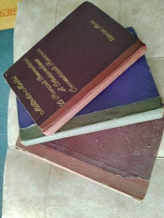 Lote de Libros Francés antiguos