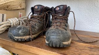 Botas trabajo Dickies 