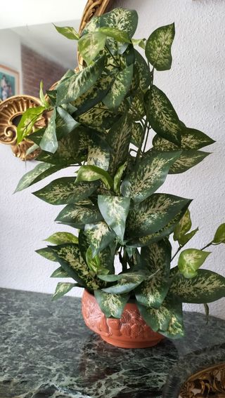 Maceta cerámica y planta de plástico 