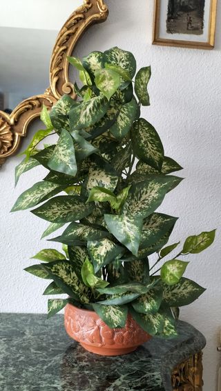 Maceta cerámica y planta de plástico 