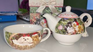 Teiera, tazza e scatola regalo