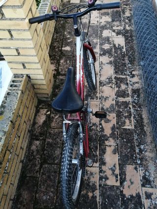 Bici  de  niñas