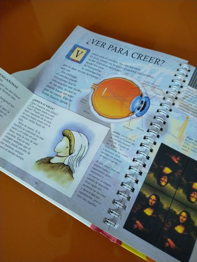 Nuestros asombrosos sentidos (Mundo azul) (Spanish Edition)