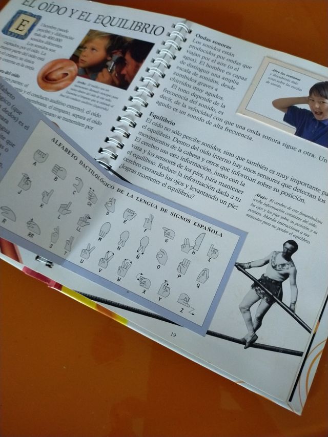 Nuestros asombrosos sentidos (Mundo azul) (Spanish Edition)