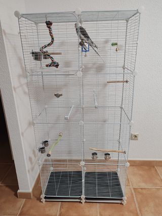 Jaula y accesorios