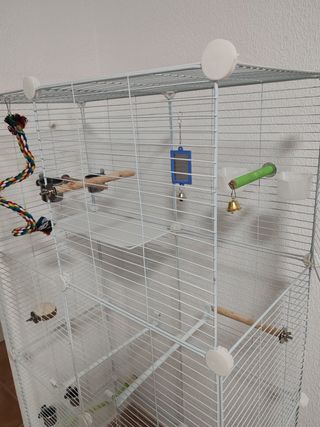 Jaula y accesorios