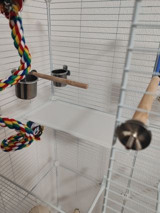 Jaula y accesorios