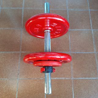 Mancuerna Salter (14,5kg)