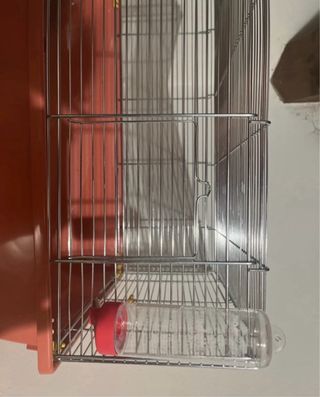 Gabbia per criceto