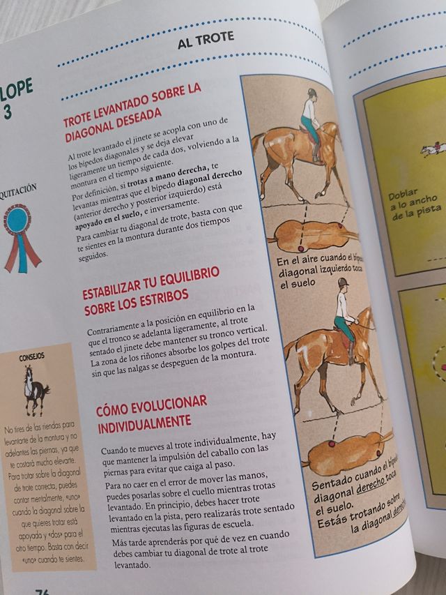 CURSO DE EQUITACIÓN. GALOPES. NIVELES 1 AL 4 (Curso de equitacion / Equitation course) (Spanish Edition)