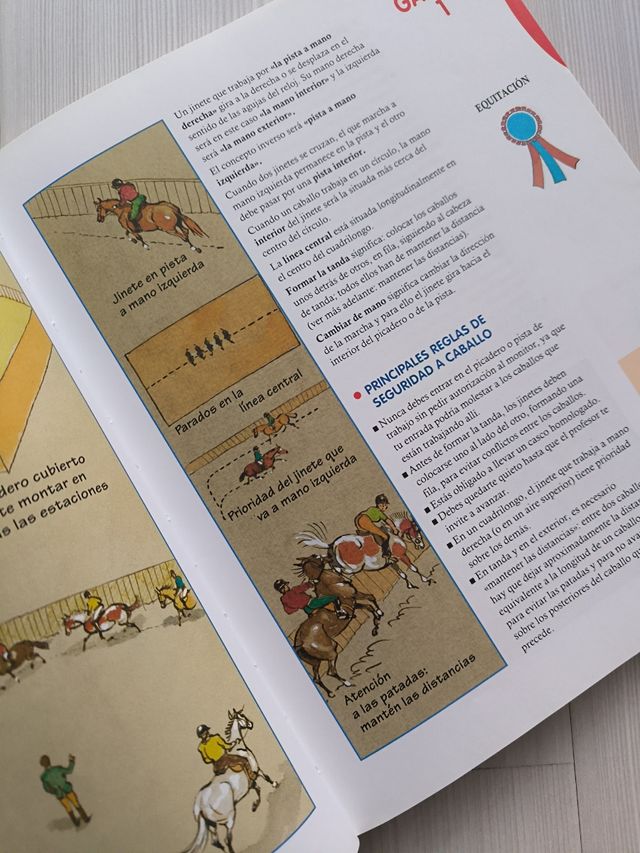 CURSO DE EQUITACIÓN. GALOPES. NIVELES 1 AL 4 (Curso de equitacion / Equitation course) (Spanish Edition)