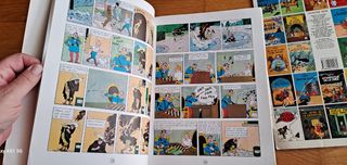Lote de 2 cómics de Tintin