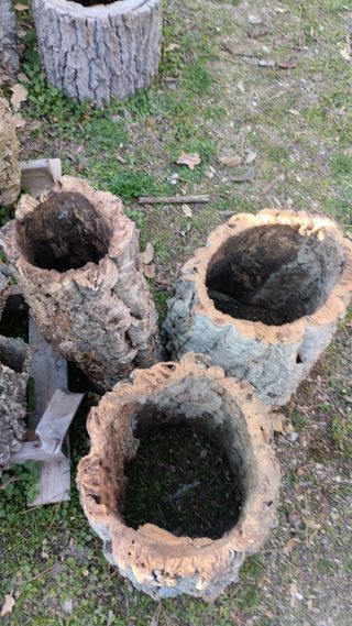 corcho natural, terrarios, orquídeas, belenes