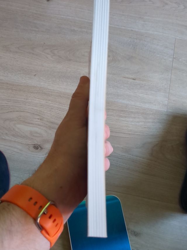 Los amiguetes del pequeño Nicolás